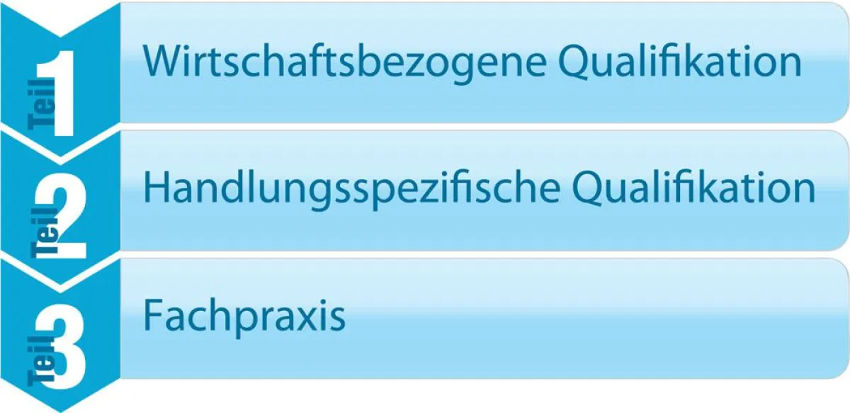 Aufbau der Meisterlehrgänge