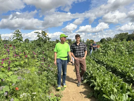 Green OOH: Dachverband für Green-OOH, Feldwerbung, FieldAds, Bodenbilder, Geobrandings, Geoglyphe Bild: Green OOH: Dachverband für Green-OOH, Feldwerbung, FieldAds, Bodenbilder, Geobrandings, Geoglyphe