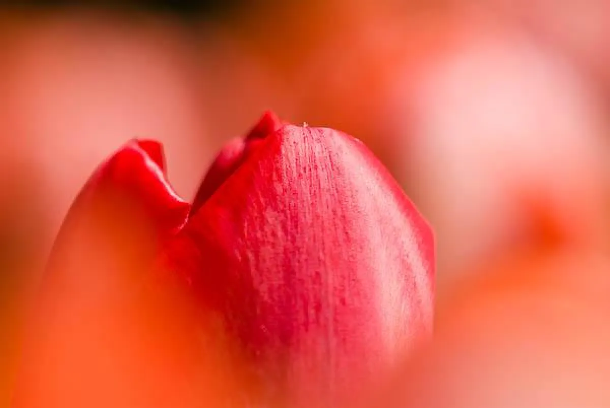 FOTOCAMPUS - Naturfotografie lernen und erleben
