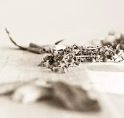 Bild: Neuer Termin für das Herbst-Heilfasten in München steht fest