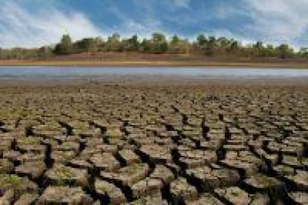 Dürre, Hitze und trockene Böden in Deutschland - Waldsterben, Wüstenausbreitung und Wüstenbildung in Europa Bild: Dürre, Hitze und trockene Böden in Deutschland - Waldsterben, Wüstenausbreitung und Wüstenbildung in Europa