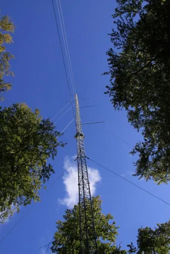 Ge:Net installs two 100m meteo towers at forestal sites Bild: Ge:Net installs two 100m meteo towers at forestal sites