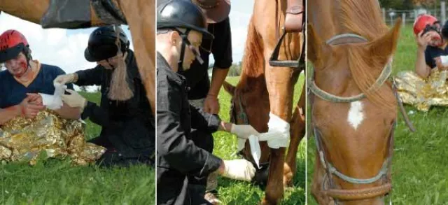 Bild: Outdoor First Aid für Reiter - Erste Hilfe für Reiter und Pferd unterwegs