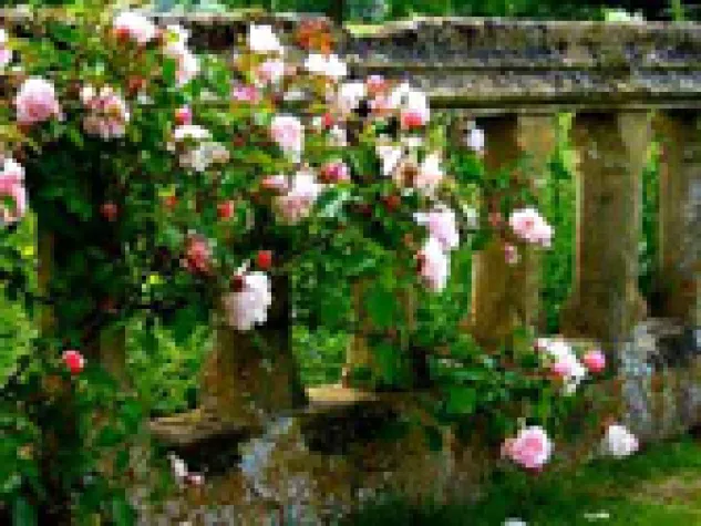 Bild: Reisen in den Sommer – Blühendes Leben in englischen Gärten