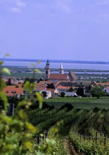Genussreise ins Burgenland - Eine perfekte Verbindung von Wein und Musik Bild: Genussreise ins Burgenland - Eine perfekte Verbindung von Wein und Musik