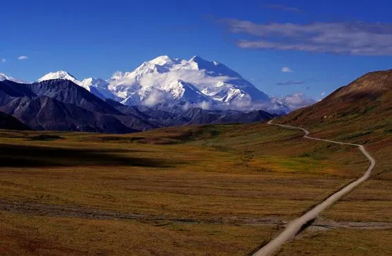 Wo das Abenteuer nie zu Ende geht - Der Denali Nationalpark in Alaska beeindruckt mit seiner wilden Schönheit Bild: Wo das Abenteuer nie zu Ende geht - Der Denali Nationalpark in Alaska beeindruckt mit seiner wilden Schönheit
