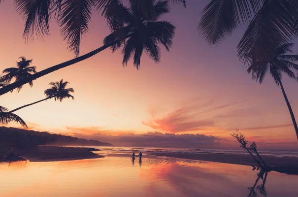 Bild: Flitterwochen in der Dominikanischen Republik – Zwischen Eleganz und Erlebnis