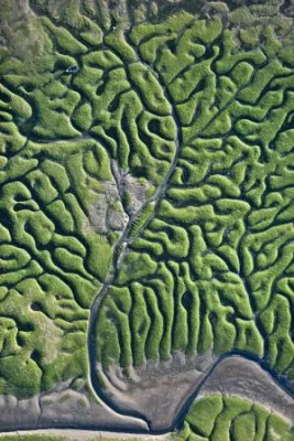 "VOLAVÉRUNT" - Héctor Garrido entdeckt die Geometrie der Natur Bild: "VOLAVÉRUNT" - Héctor Garrido entdeckt die Geometrie der Natur