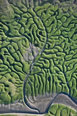 Bild: "VOLAVÉRUNT" - Héctor Garrido entdeckt die Geometrie der Natur