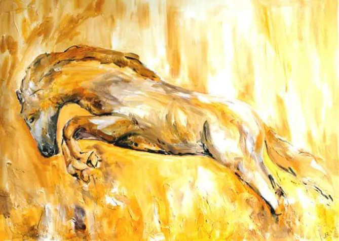 Bild: TierKunst.com - Pferde, Kunst und Fotografie