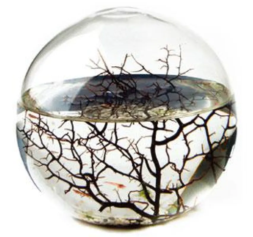 Ecosphere Kugel