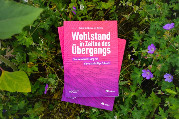 Bild: Wohlstand jenseits von Wirtschaftswachstum und Konsumversprechen