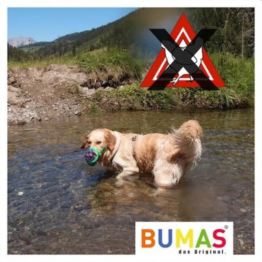 Ein BUMAS mit Anti-Giftköder Riemen gegen die Vogelgrippe