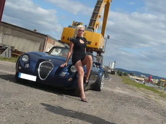 Bild: Bidgo launcht Naked Testdrive im Oktober 2008