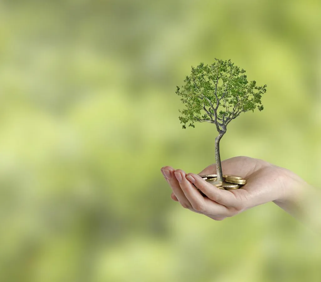 Stipendien lassen den Baum wachsen