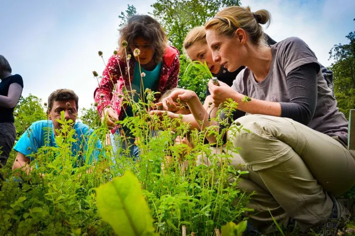Bild: Wildnispädagogik Weiterbildung, lernen von der Natur