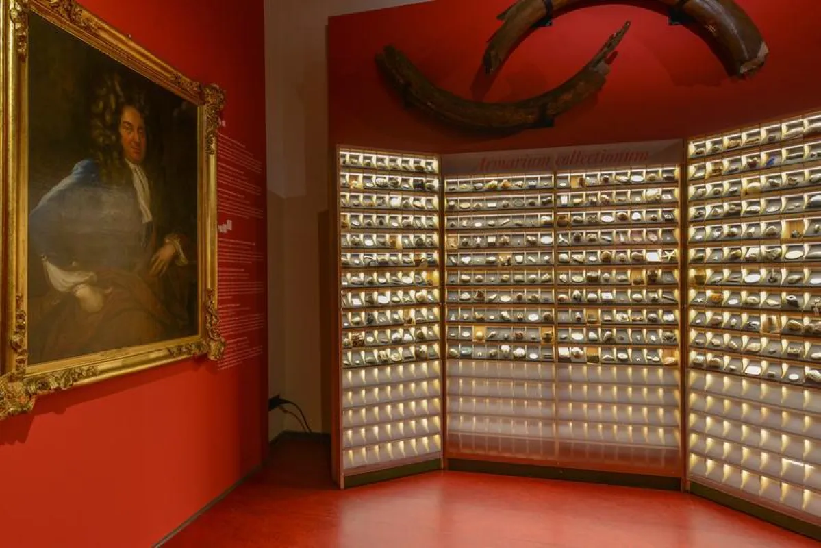 Im Universitätsmuseum sind viele Objekte aus den akademischen Sammlungen ausgestellt, die Einblick in die Forschungstätigkeit der vergangenen Jahrhunderte bieten. (Markus Scholz)