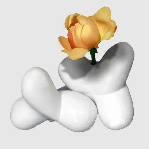 Bild: Kuschelvasen - eine allein ist unvollkommen