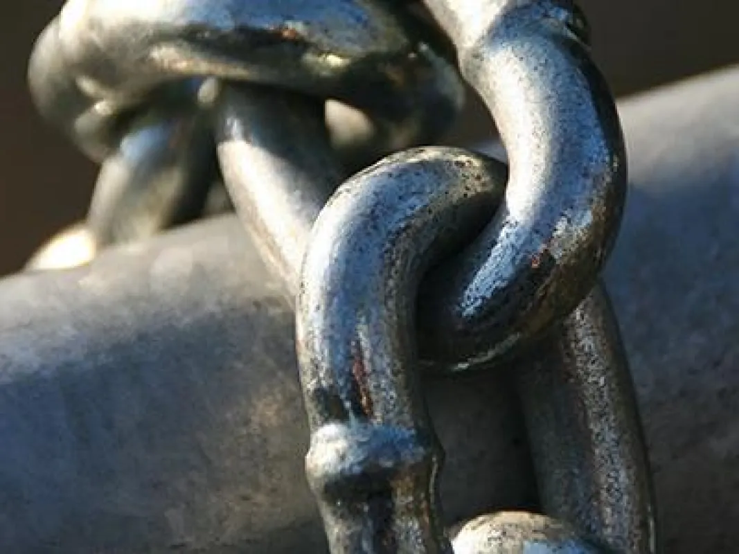 Magnesium stärkt die Arterien