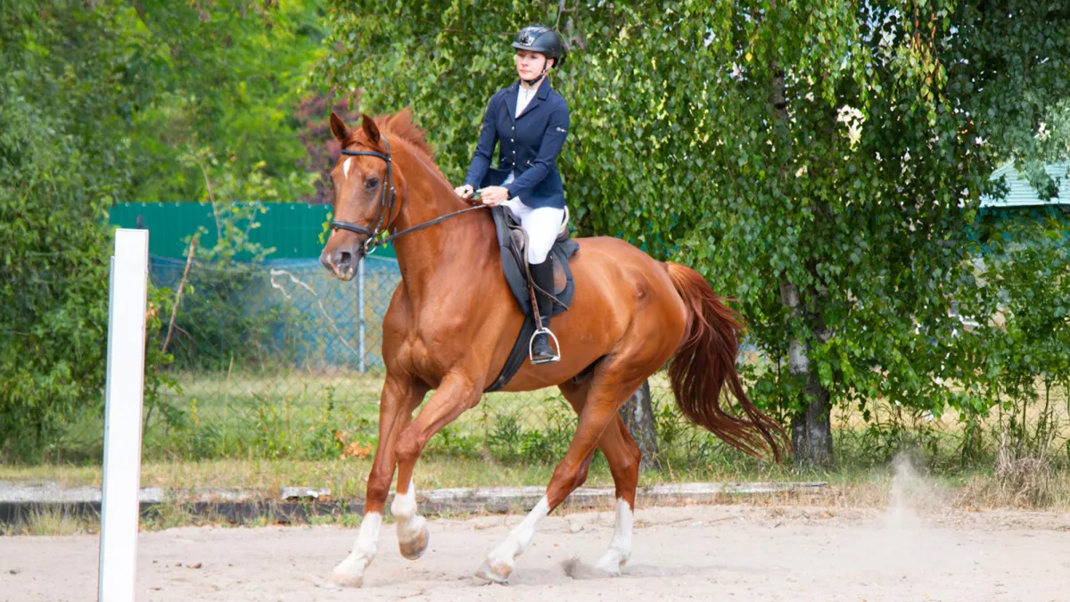 (© Isabella Stampf)