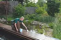 Bild: Gartenhölzer winterfit machen - Feuchtigkeit und Rutschgefahr vorbeugen