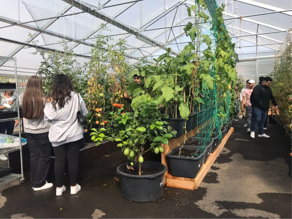 Berufskolleg Wuppertal (© Rechte bei Urban Nature)