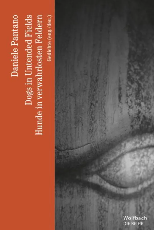 Die Wolfbach-Reihe Band 28