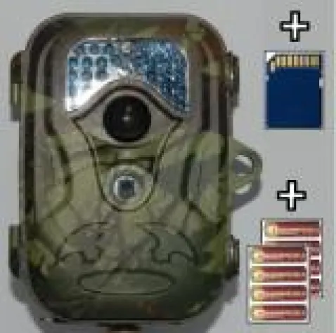 Bild: Jetzt Wildbilder empfangen