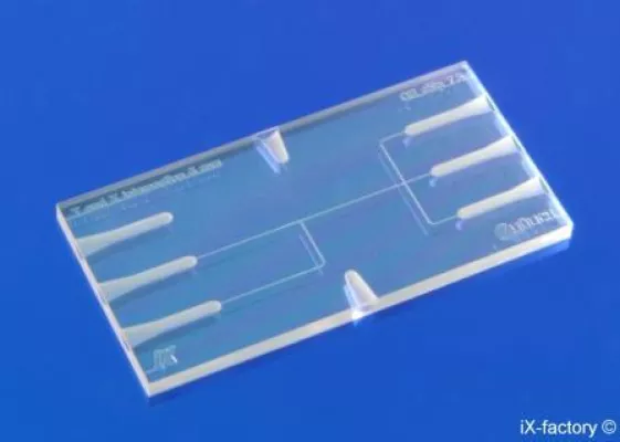Bild: Mikrofluidischer Glas-Chip für die Kopplung mehrdimensionaler elektrophoretischer Trennungen