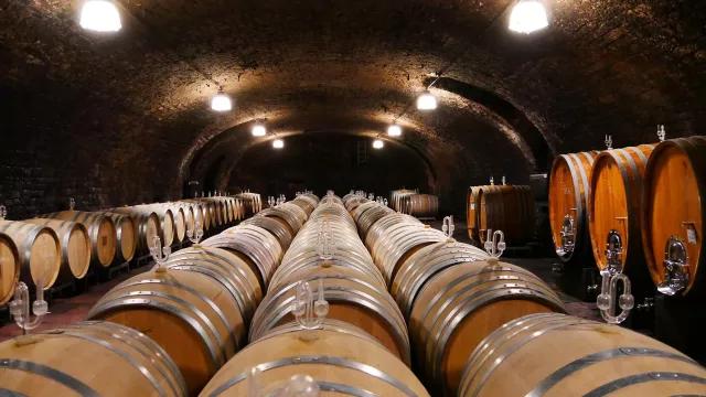 Bild: LagenCup Rot 2020 - Die besten Rotweine Deutschlands