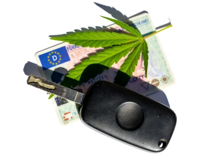 Bild: Die Legalisierung von Marihuana in Deutschland: Ein Fortschritt mit Risiken für die MPU-Vorbereitung