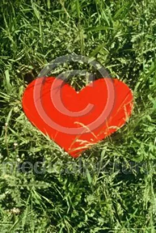 Bild: Bildarchive entdecken und bewerten