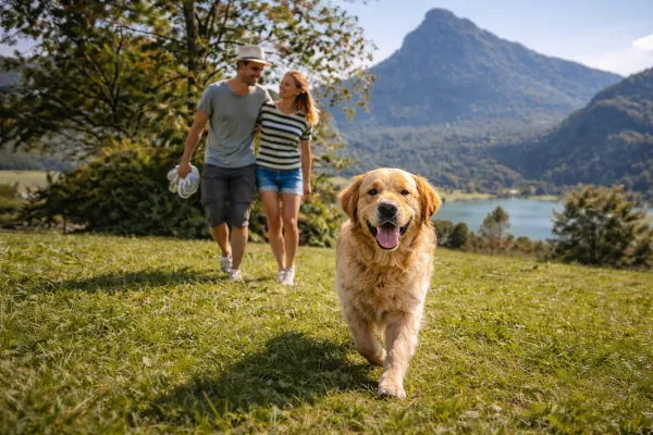 Bild: Urlaub mit Hund in Tirol: Ferienhaus Thiersee setzt auf Ruhe, Freiraum und Naturerlebnis