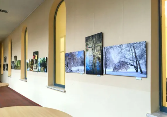 Bild: Versteigerung der Siegerbilder des Fotowettbewerbs „Stadtpark im Wandel der Zeit“