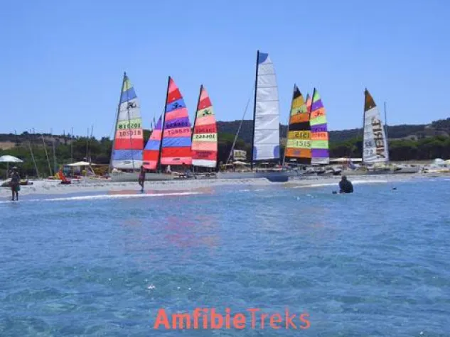 Bild: Überraschungspäckchen für Sardinienliebhaber