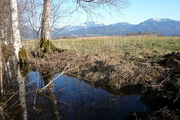 Natursommer im Loisachtal Bild: Natursommer im Loisachtal