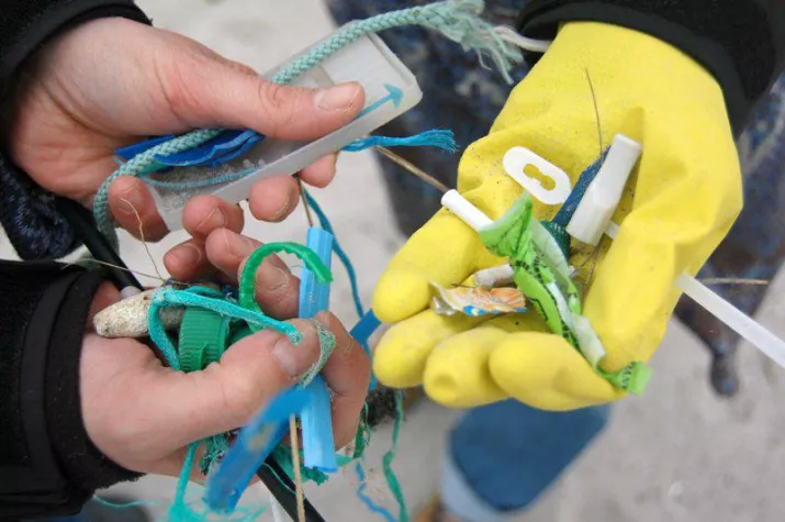 Meer und Küste im Fokus Bild: Meer und Küste im Fokus