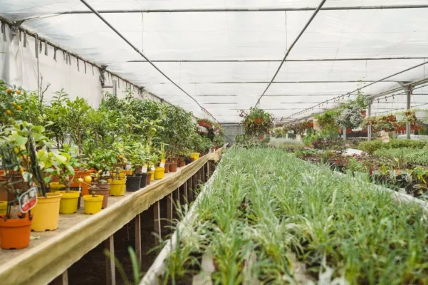 Bild: Urban Greening Camp in Leipzig für Artenschutz, Cleantech, Greentech und Vertical Farming