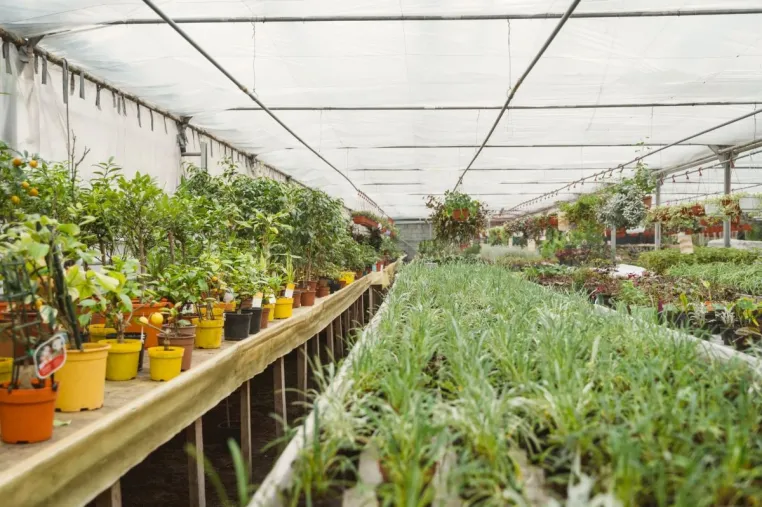 Bild: Urban Greening Camp in Leipzig für Artenschutz, Cleantech, Greentech und Vertical Farming