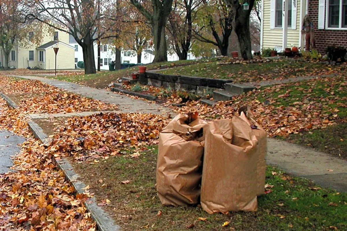 Im Herbst verwandelt nasses Laub den Gehweg zu einer Rutschbahn Bild: tdx/homesolute.com