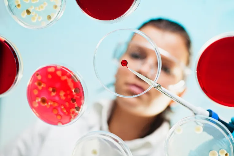 Bild: Bio-Recycling von Kunststoff - Mikroben machen aus Plastik neue Wertstoffe