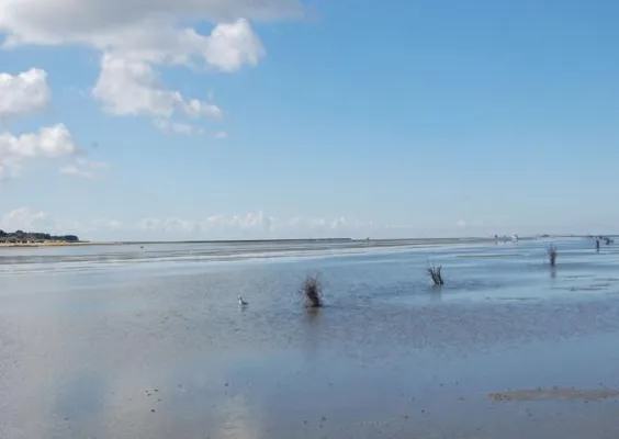 Zeit für Wattenmeer-Wellness in Cuxhaven Bild: Zeit für Wattenmeer-Wellness in Cuxhaven
