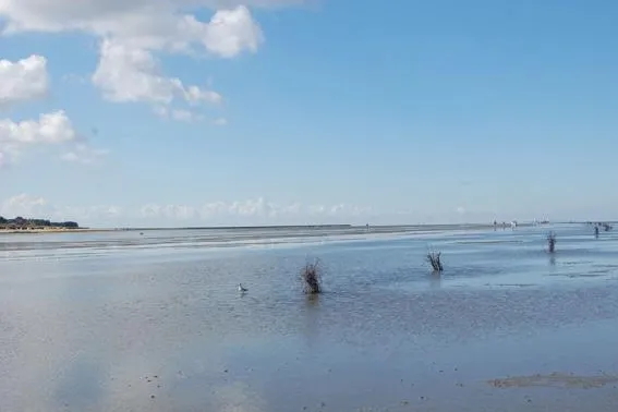Bild: Zeit für Wattenmeer-Wellness in Cuxhaven