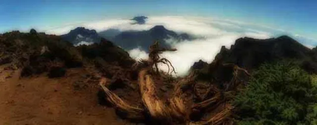 Bild: Stille Tage auf La Palma - Schweigen am Vulkan