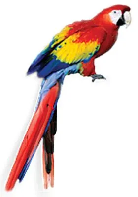 Medien der Zukunft: dpvision ist HDTV ready - Spezialist zeigt Lösungen für Home Cinema und Event-Videotechnik Bild: Medien der Zukunft: dpvision ist HDTV ready - Spezialist zeigt Lösungen für Home Cinema und Event-Videotechnik