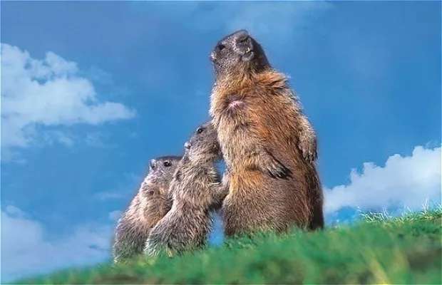 Bild: SUMMER SAVERS - SOMMERLICHE PREISE IN DEN SWISSÔTEL HOTELS & RESORTS