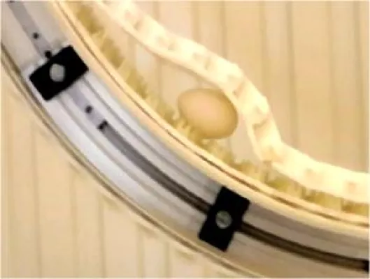 Bild: Innovative Idee aus der Transporttechnik – der Carryline „Sandwich-Förderer“