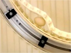 Bild: Innovative Idee aus der Transporttechnik – der Carryline „Sandwich-Förderer“