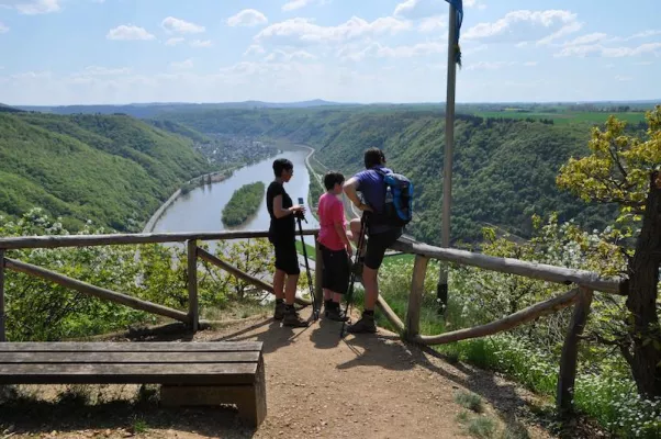 Bild: Wein, Burgen, Aussichten satt: Wandern auf dem Moselsteig