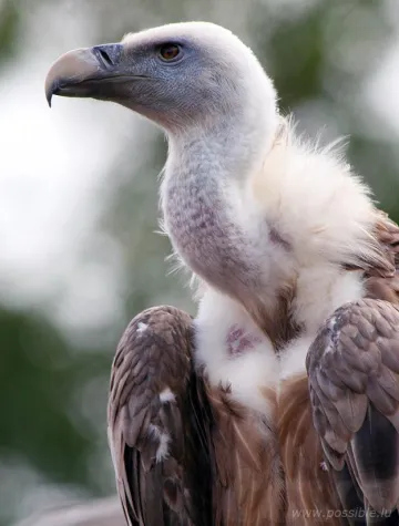 Bild: Die Naturfotografen treffen sich.